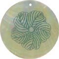 Mother of pearl shell round in green Mother of pearl shell round in green