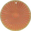 Mother of pearl shell round in orange