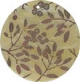 Mother of pearl shell round in toffee