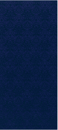 Navy Ultrasuede Navy Ultrasuede