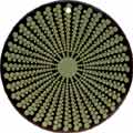 Tab shell round in celedon