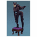 Batman Kia Asamiya Wave 1 Catwoman Figure