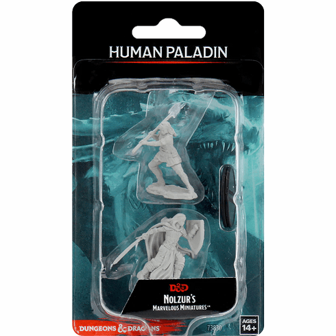 Dungeons and Dragons Nolzur's Marvelous Miniatures Female Human Paladin 2-Pack