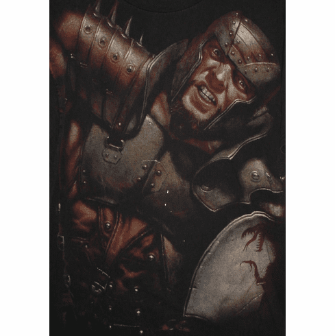 Dungeons and Dragons Warrior T-Shirt