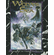 White Wolf Vampire The Dark Ages Wolves of the Sea Sourcebook