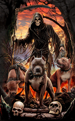 3 HEADED VAMPIRE HELL HOUND SUPERNATURAL POWER