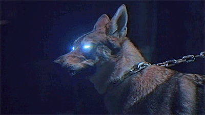 Demonic Lycan Wolf of Hades Hell on a leash direct binding