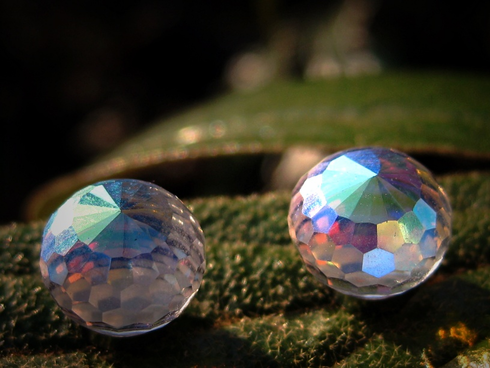 FREE WITH 25.00 PURCHASE AURA CLEANSE EARRINGS