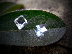 FREE with purchase of 25.00 Psychic vortex earrings