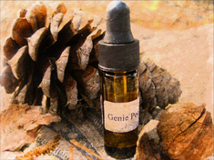 GENIE POTION luck wealth healing extremely powerful