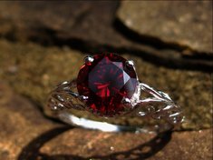 Haunted Marry a Royal Bloodline Vampire