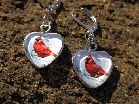 Spell Cast Cardinal Earrings Good luck Wealth Abundance