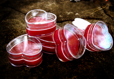 Vampire Lust Lip Gloss Potion Attraction LOVE spell