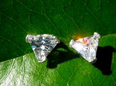 VAMPIRE SUPER POWER EARRINGS