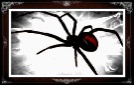 WEB OF OBSESSION TRAP YOUR LOVER RITUAL SPELL