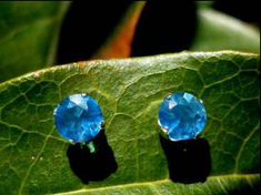 Weight Loss Earrings