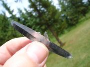 CT..67 Tibetan Black Quartz DT..with Penatrator **Gorgeous**.