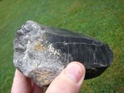 DK..45 Black Tibetan Very Large **SELF HEALED **