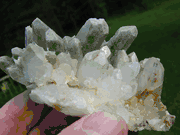 GFB Gorgeous Green  and Clear Faden Family Cluster 
