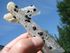 HT-21 Large Quartz Crystal Cross Septer with Hematite Inclusions