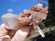   HH-08 HH-08 **RARE** Red Tibetan Phantom Healing Family Cluster