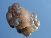 NATURAL CHALCEDONY