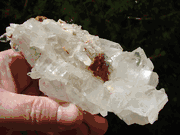 11-K Light Yellow Faden Family Cluster on Matrix