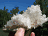 1297  Sparkling Faden Quartz Cluster with Gorgeous Crystal Points on WHITE MATRIX