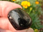 NM-5 NUMITE 