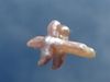 P-4 Natural Pearl Cross