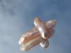 P-7 Natural Pearl cross