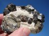 RP-29 STUNNING QUARTZ with GARNETS and HEMATITE RP-29 STUNNING QUARTZ with GARNETS and HEMATITE