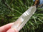 SC-09..Gorgeous Lemurian with Penatrator