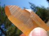 T-02 **GORGEOUS**Tangerine Lemurian..DEEP Time Lines