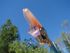 W-01 Tibetan Red Tibetan Phantom, Lemurian crystal, Amethyst wand