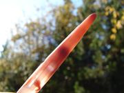 WS-01Tibetan Red Phantom Quartz Crystal