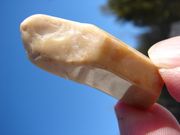 YK-9 Polished Yellow  Tibetan Quartz