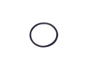 Pentair A&A Style 2 Cleaning Head O-Ring (Round)