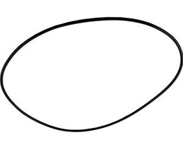 Pentair A&A Top Feed Valve O-Ring 518053