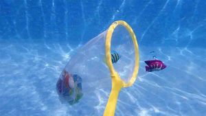 Fish Net Catch Game