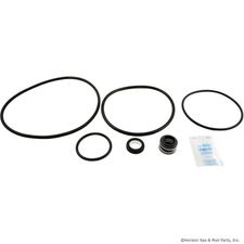 Go-Kit for Sta-Rite Dyna Pump # GO-KIT47-9