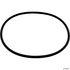 Hayward Leaf Canister O-Ring # AXW542
