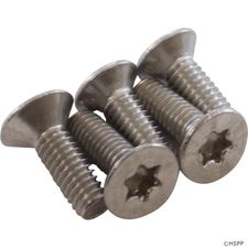 Hayward TigerShark Plus Screw M4x2 Flat Head T-15 # RCX12002