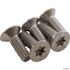 Hayward TigerShark Plus Screw M4x2 Flat Head T-15 # RCX12002