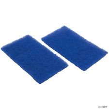 Hayward TigerShark QC Filter Cartridge - Disposable Spring Cleanup (2PK) # RCX70103PAK2