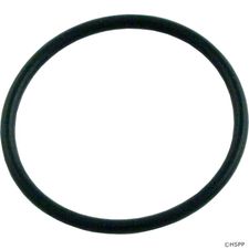 Hayward Viio Turbo In-Line Filter O-Ring # AX5010G19
