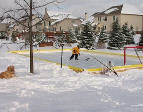 NiceRink 20' x 40' Rink in a Box