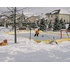 NiceRink 20' x 40' Rink in a Box