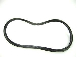 Paramount O-Ring for Debris Canister - #005-152-0120-00
