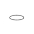 Paramount Pool Valet&reg; Retro Pressure Test Plug O-Ring - #005-552-0152-00